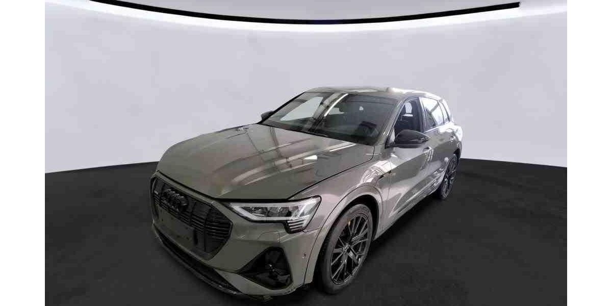 Audi e-tron 43.337 km 35.850 &euro; Hagen 58091