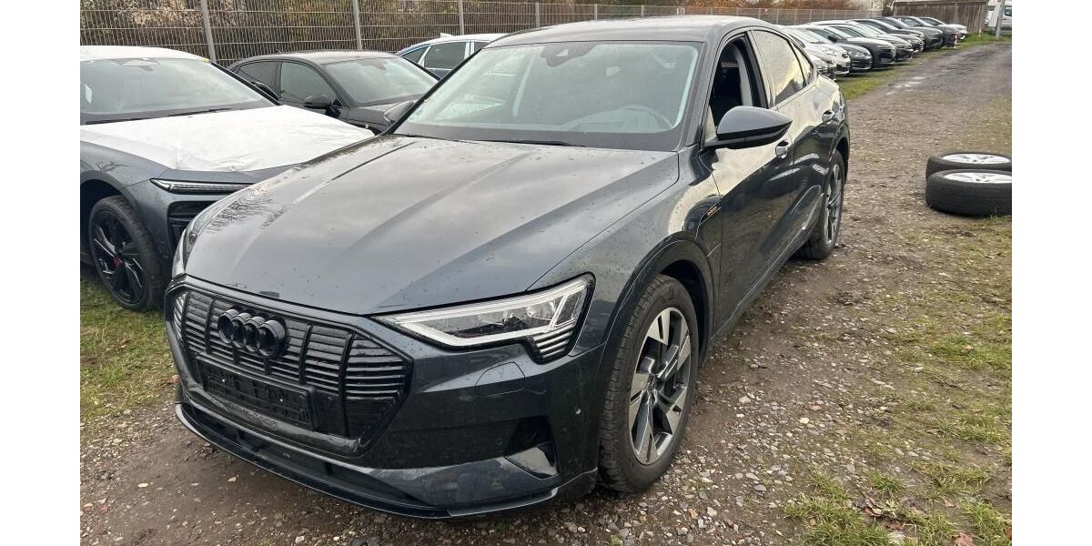Audi e-tron 32.983 km 29.935 &euro; Hagen 58091