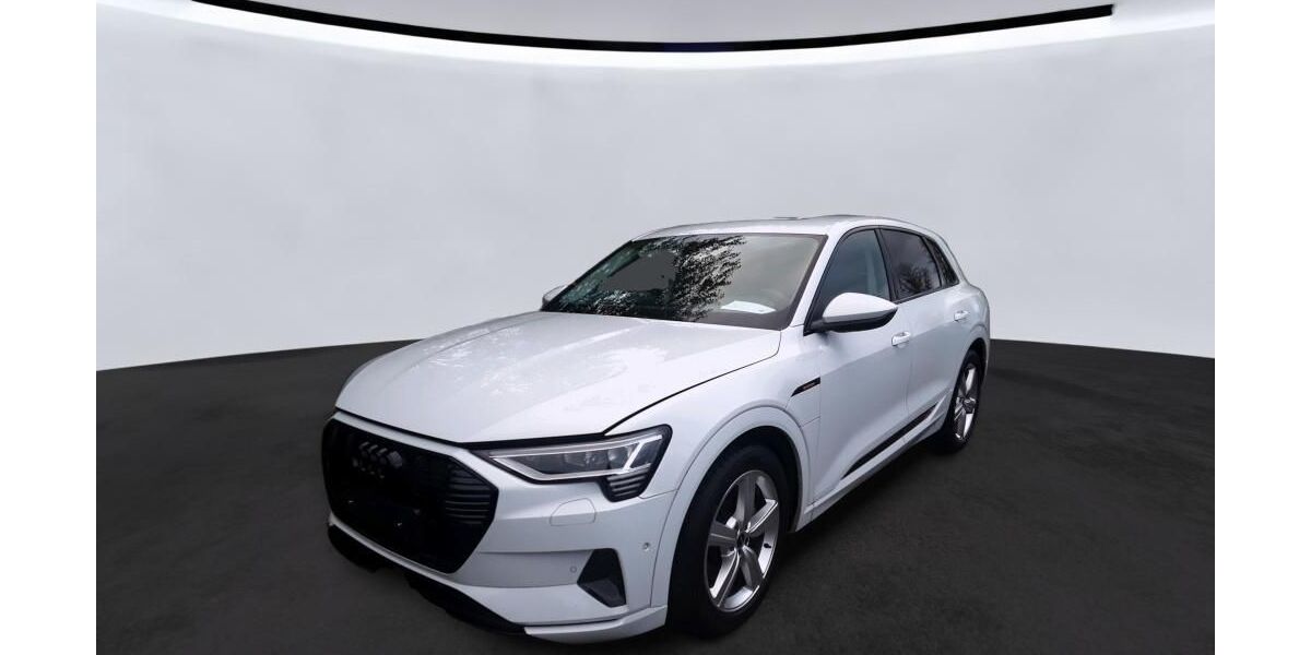 Audi e-tron 26.191 km 30.800 &euro; Hagen 58091