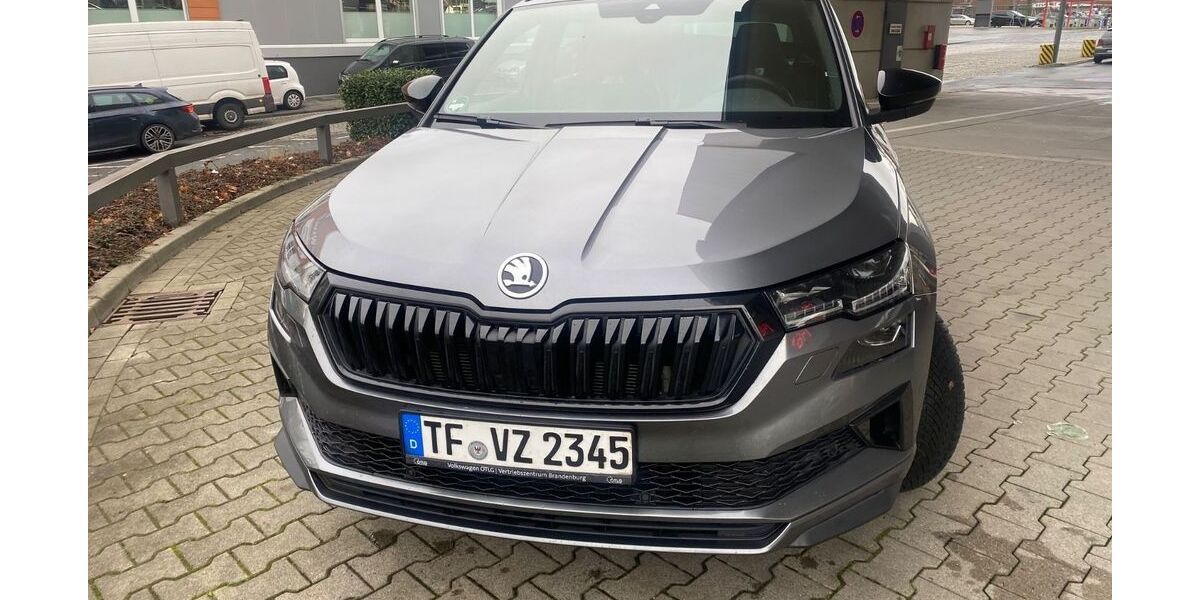Skoda Karoq 98.500 km 26.990 &euro; Dortmund 44229