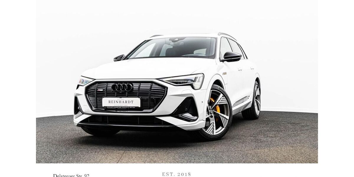 Audi e-tron 46.942 km 41.635 &euro; Hagen 58091