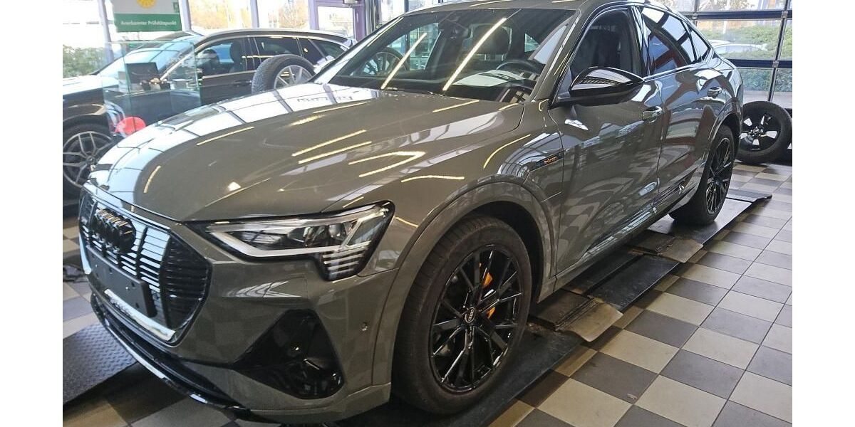 Audi e-tron 51.177 km 38.959 &euro; Hagen 58091