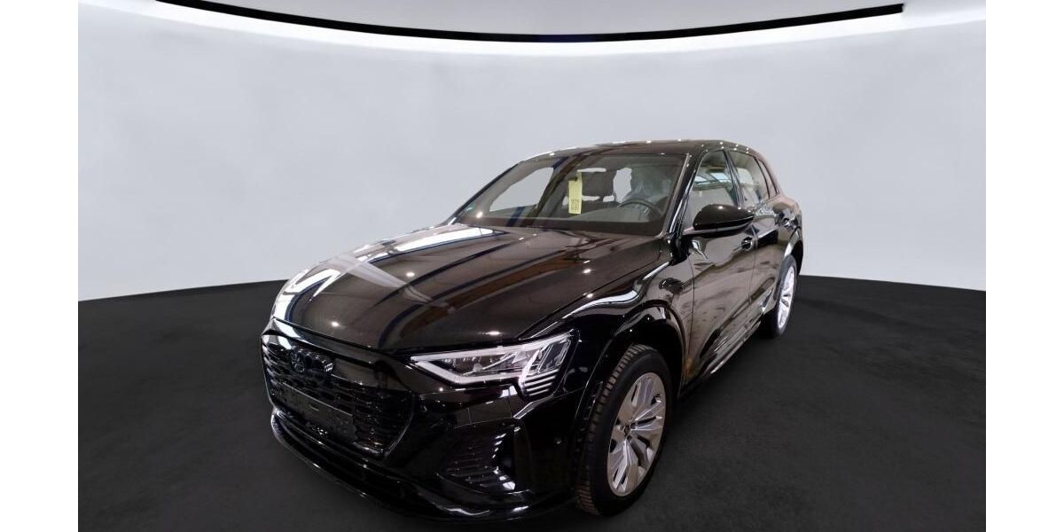 Audi SQ8 e-tron 52.823 km 66.825 &euro; Hagen 58091