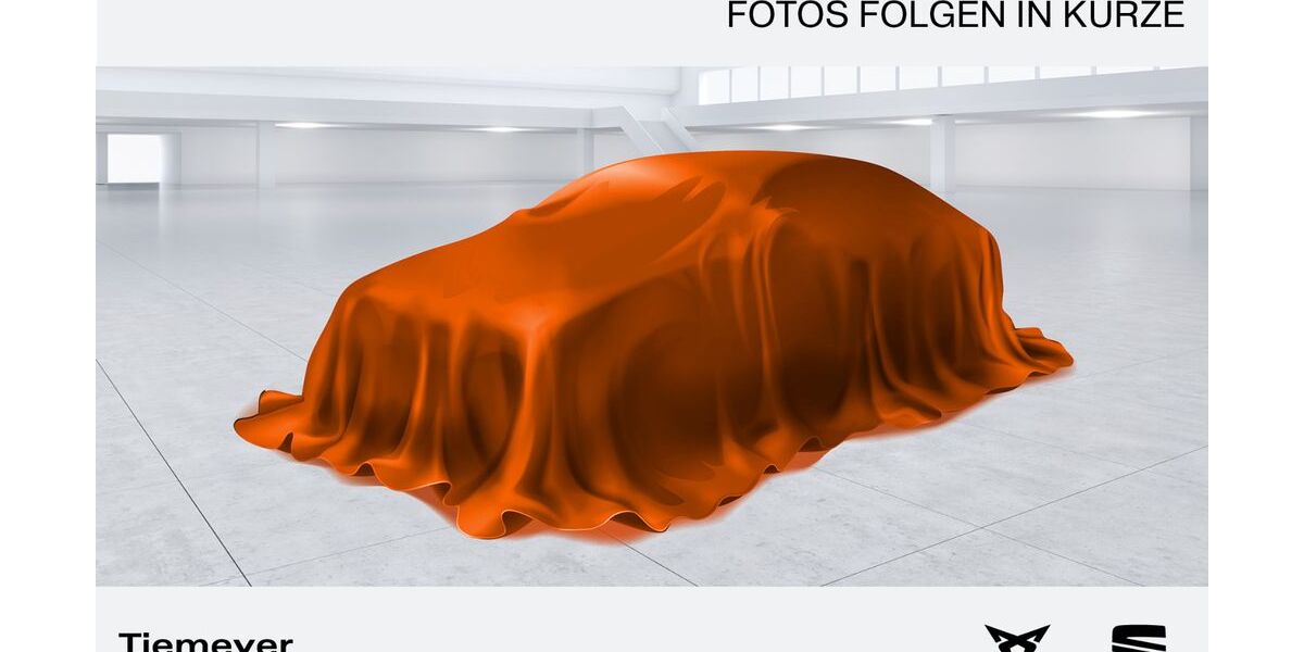 Cupra Formentor 14.333 km 43.430 &euro; Hemer 58675