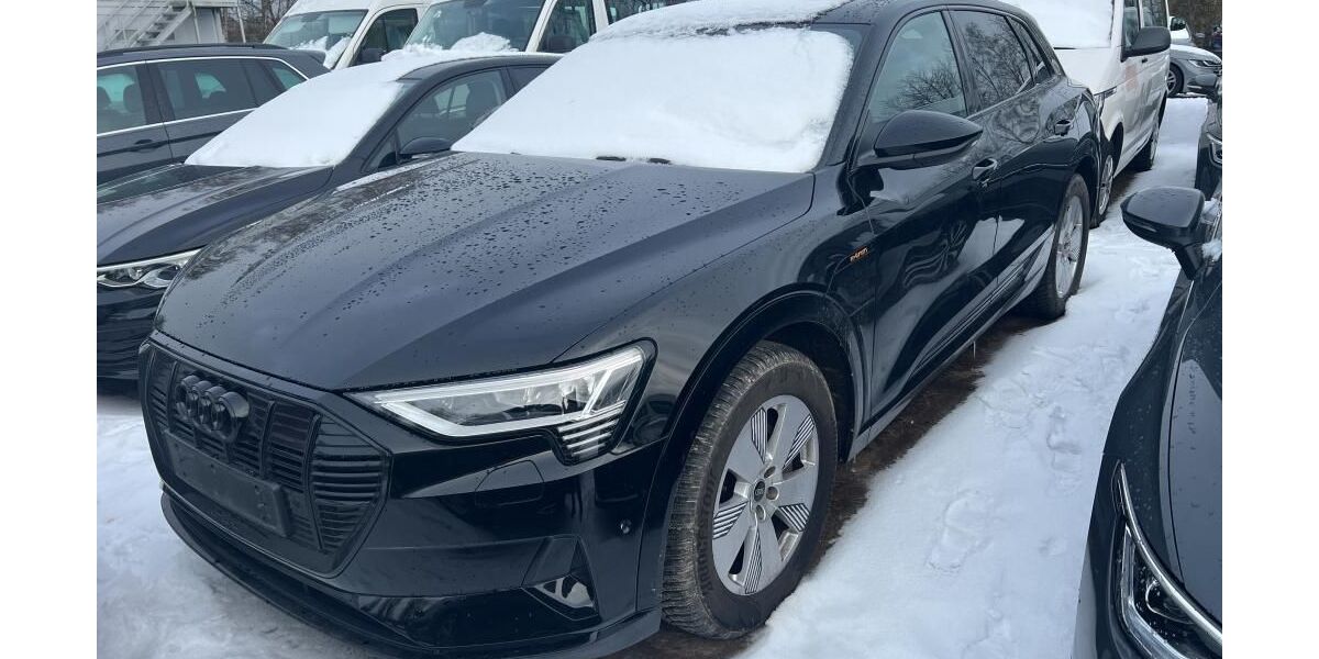 Audi e-tron 61.930 km 37.810 &euro; Hagen 58091