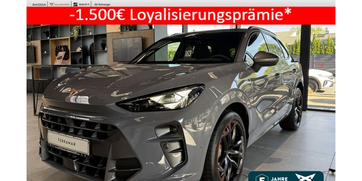 Cupra Terramar 6.900 km 50.990 &euro; Castrop-Rauxel 44579