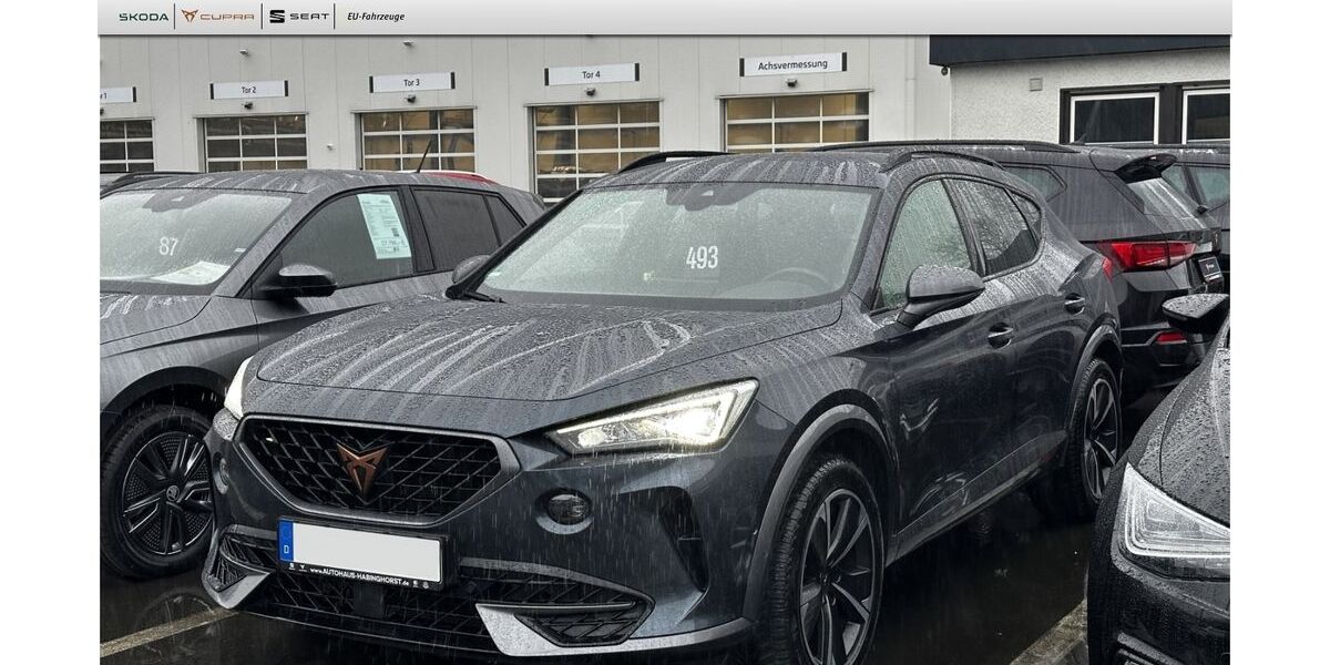 Cupra Formentor 55.963 km 22.490 &euro; Castrop-Rauxel 44579