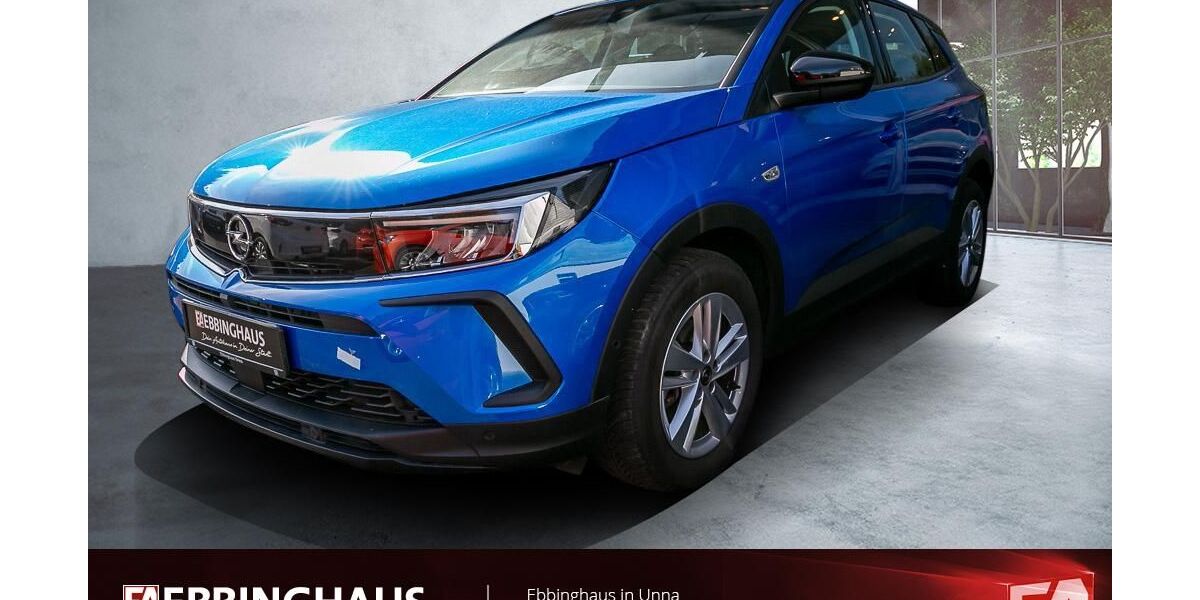 Opel Grandland (X) 29.126 km 17.499 &euro; Unna 59423