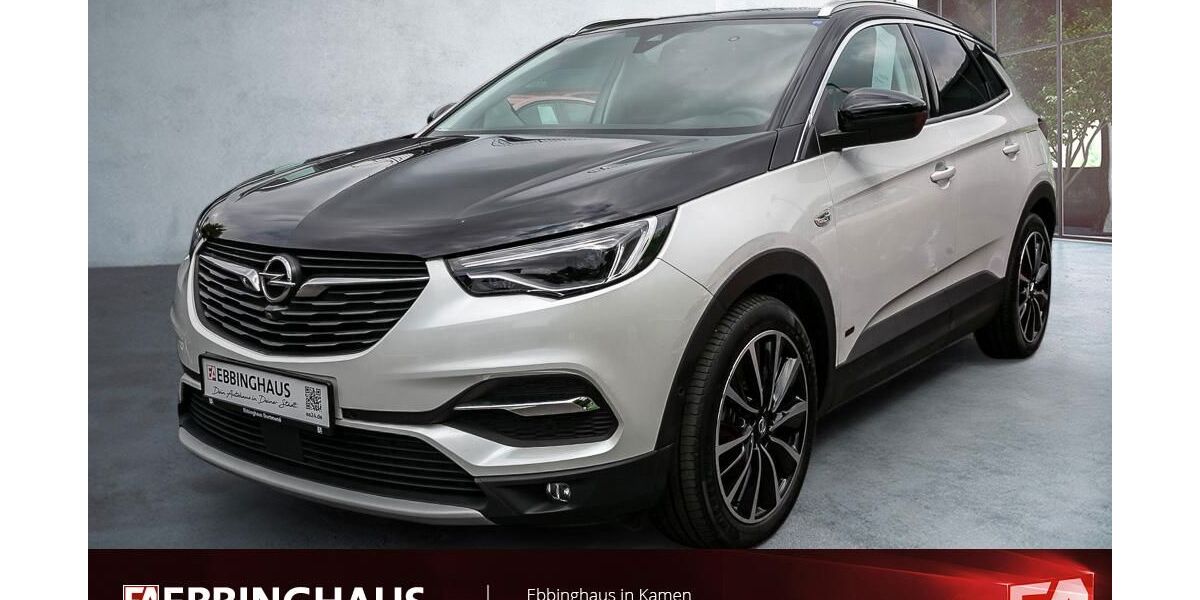 Opel Grandland (X) 47.033 km 21.499 &euro; Kamen 59174