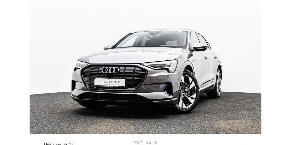 Audi e-tron 78.740 km 33.780 &euro; Hagen 58091