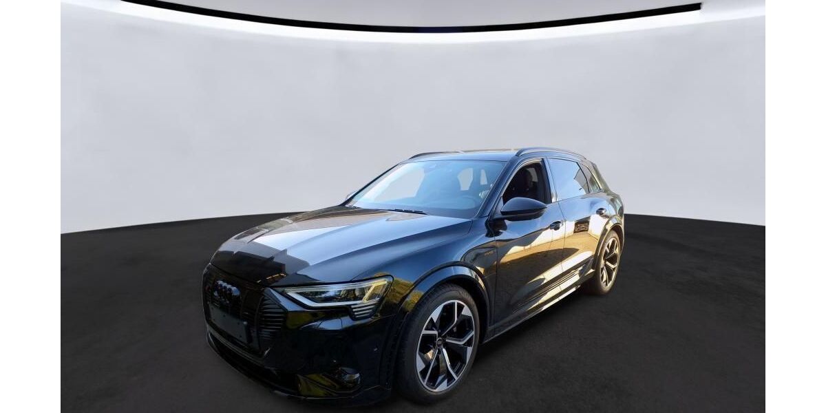 Audi e-tron 16.050 km 47.700 &euro; Hagen 58091