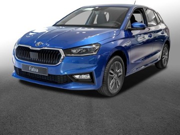 Gebrauchte Skoda Fabia
