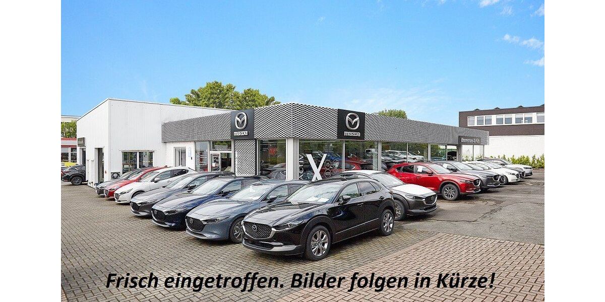Mazda CX-80 19.306 km 51.450 &euro; Hattingen 45527
