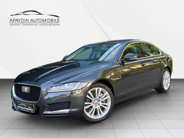 Gebrauchte Jaguar XF