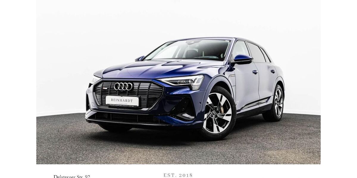 Audi e-tron 59.998 km 28.780 &euro; Hagen 58091