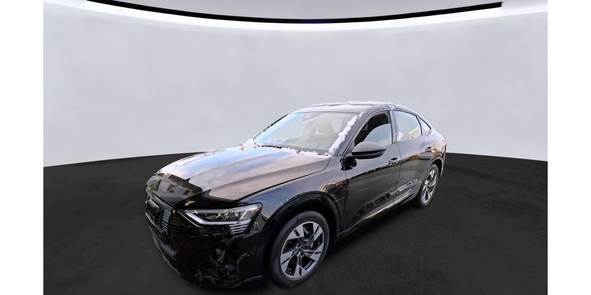 Audi e-tron 53.002 km 34.390 &euro; Hagen 58091